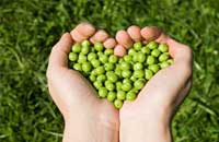 Image depicting Health Promoter/Kinesiologist